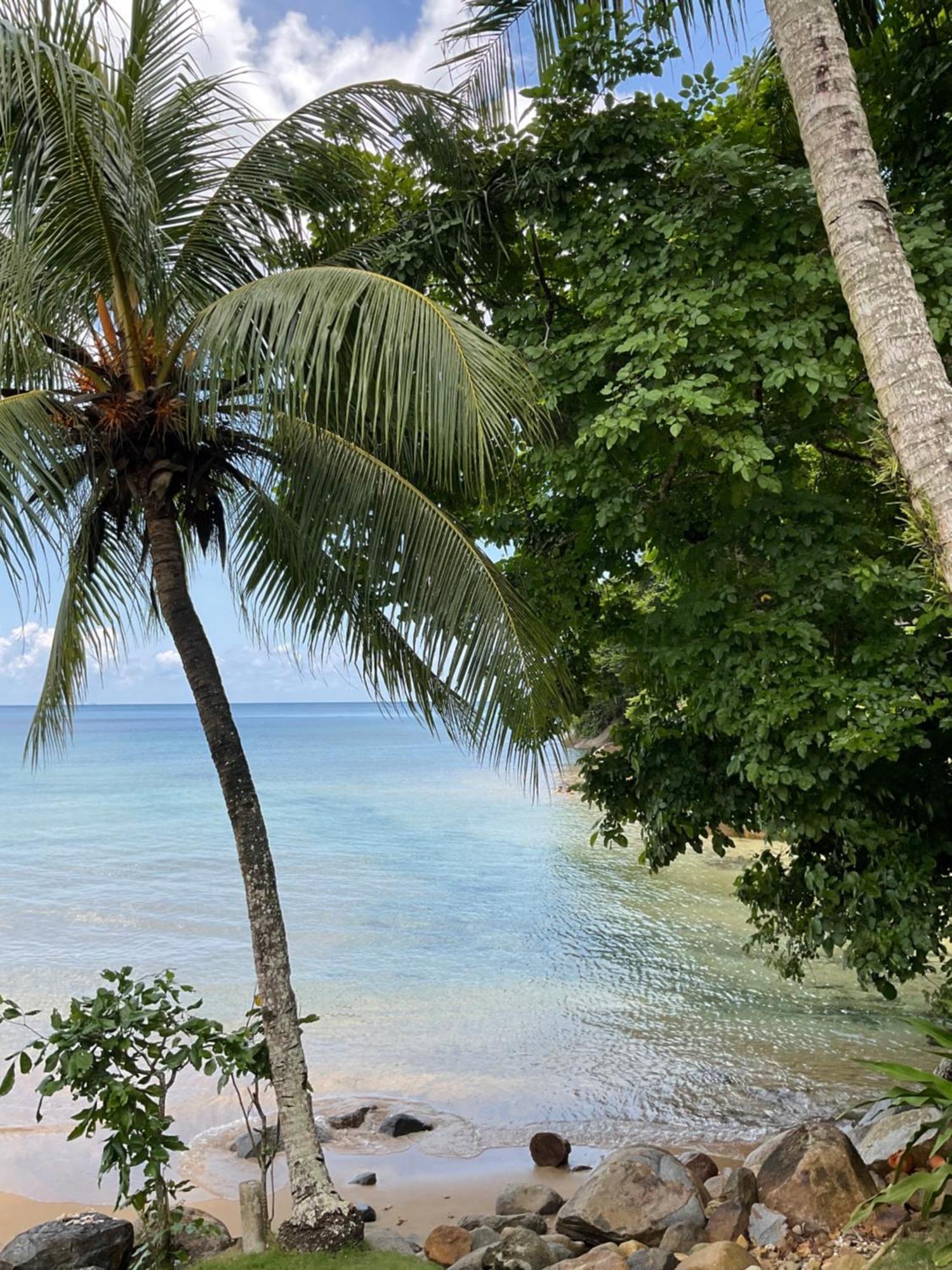 Abc Chalet Tioman Kampong Ayer Batang Exteriér fotografie