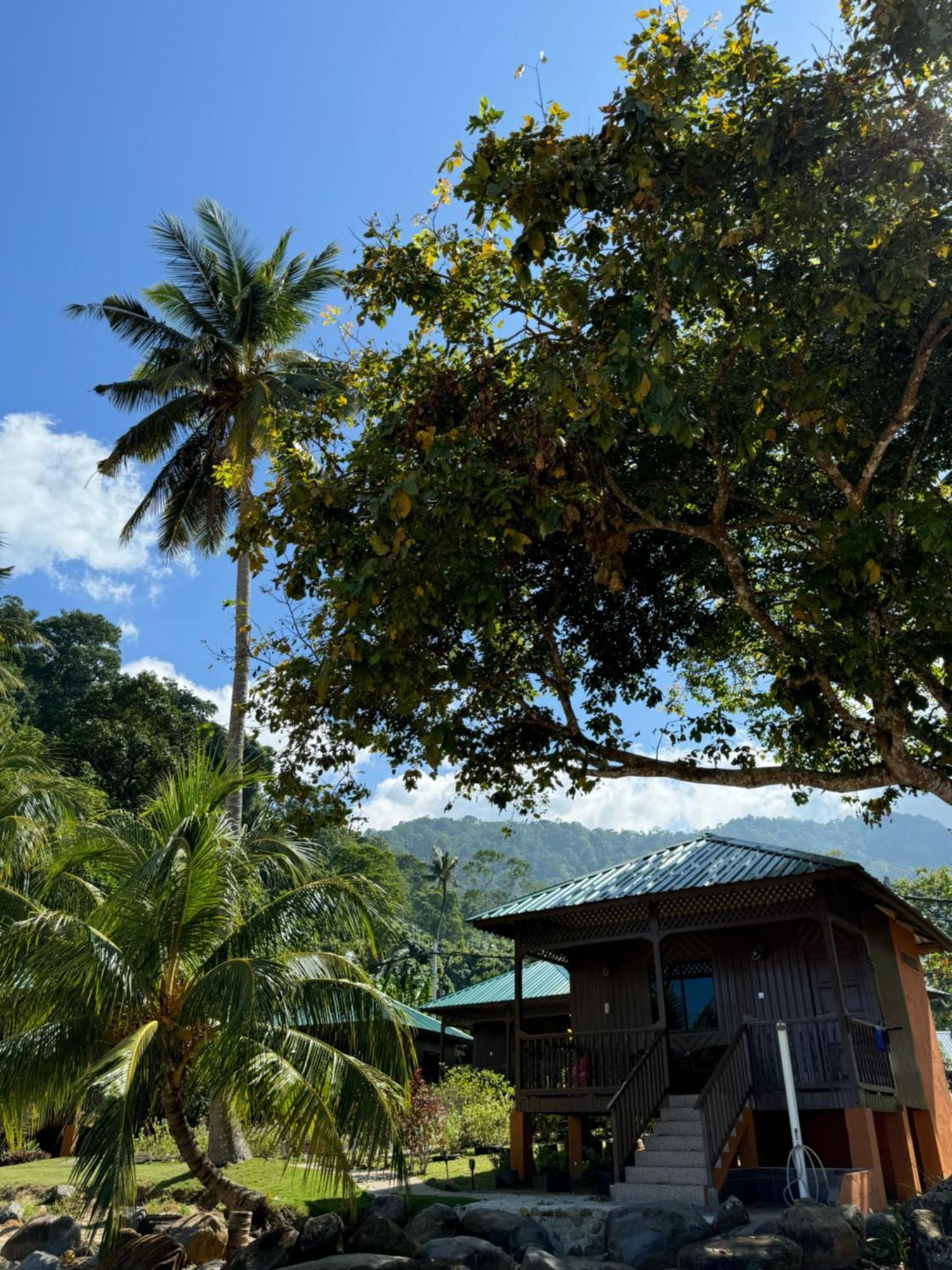 Abc Chalet Tioman Kampong Ayer Batang Exteriér fotografie